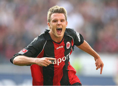 送入网窝 送入网窝